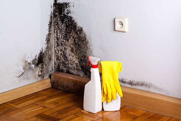 24/7 water damage repair in Maud, TX